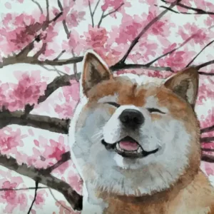 Blossom